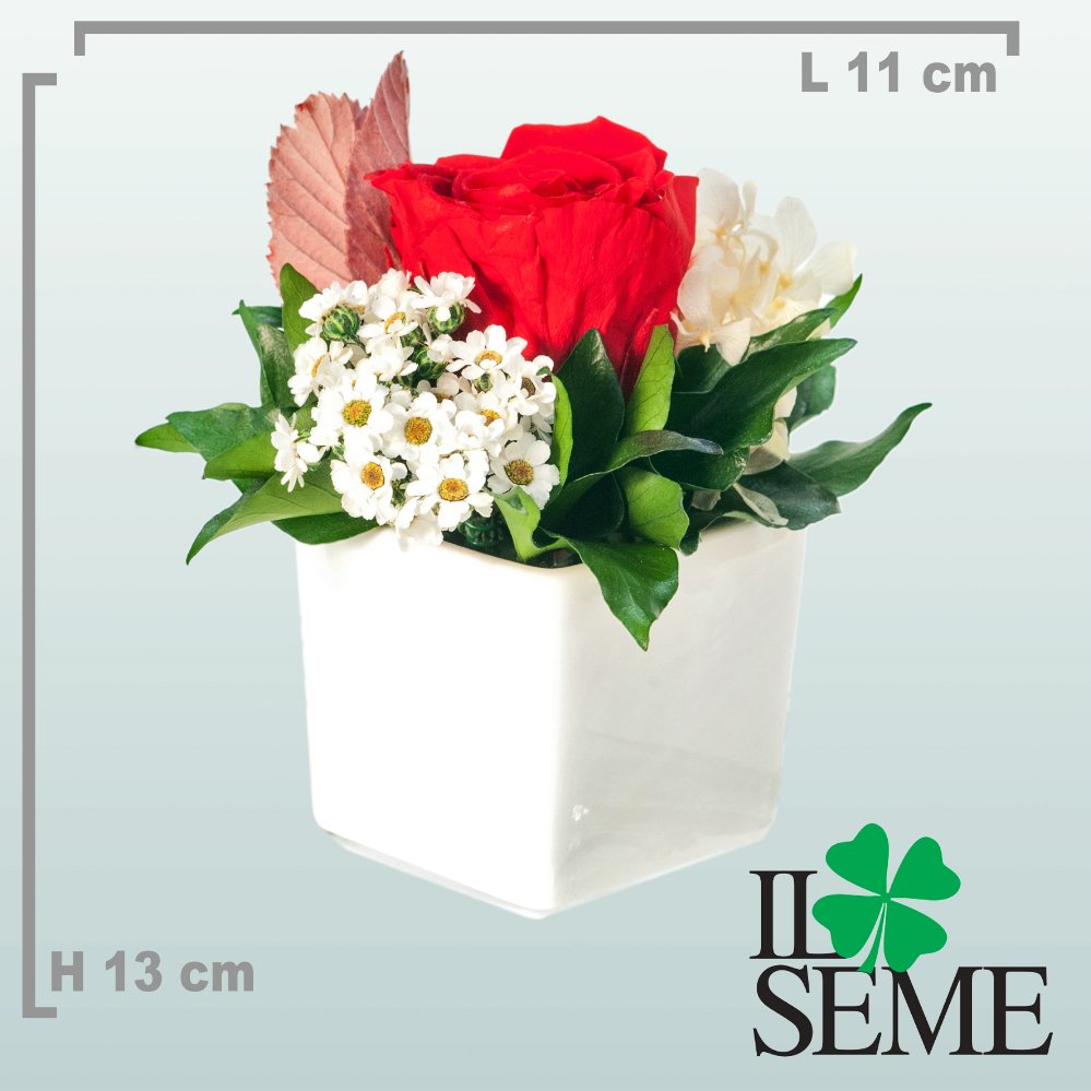 Foto Square Bucket arrangement with Stabilized Rose
