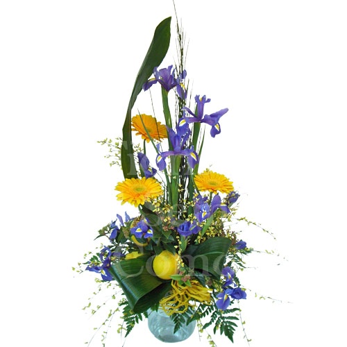 Foto Tall-sized arrangement