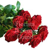 Mazzo di rose rosse a gambo lungo.