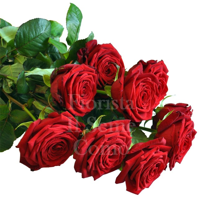 Mazzo di rose rosse a gambo lungo. - Fiorista Il Seme Como - Consegna Fiori  a Como