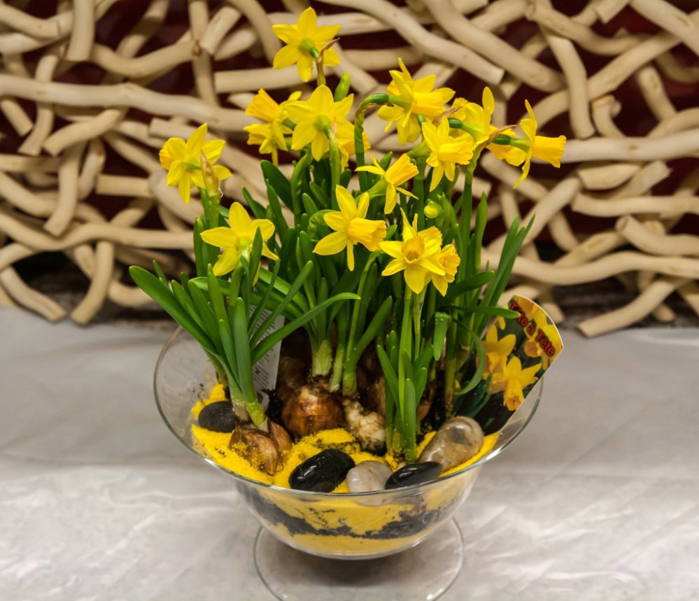 Foto Bulbs arrangement