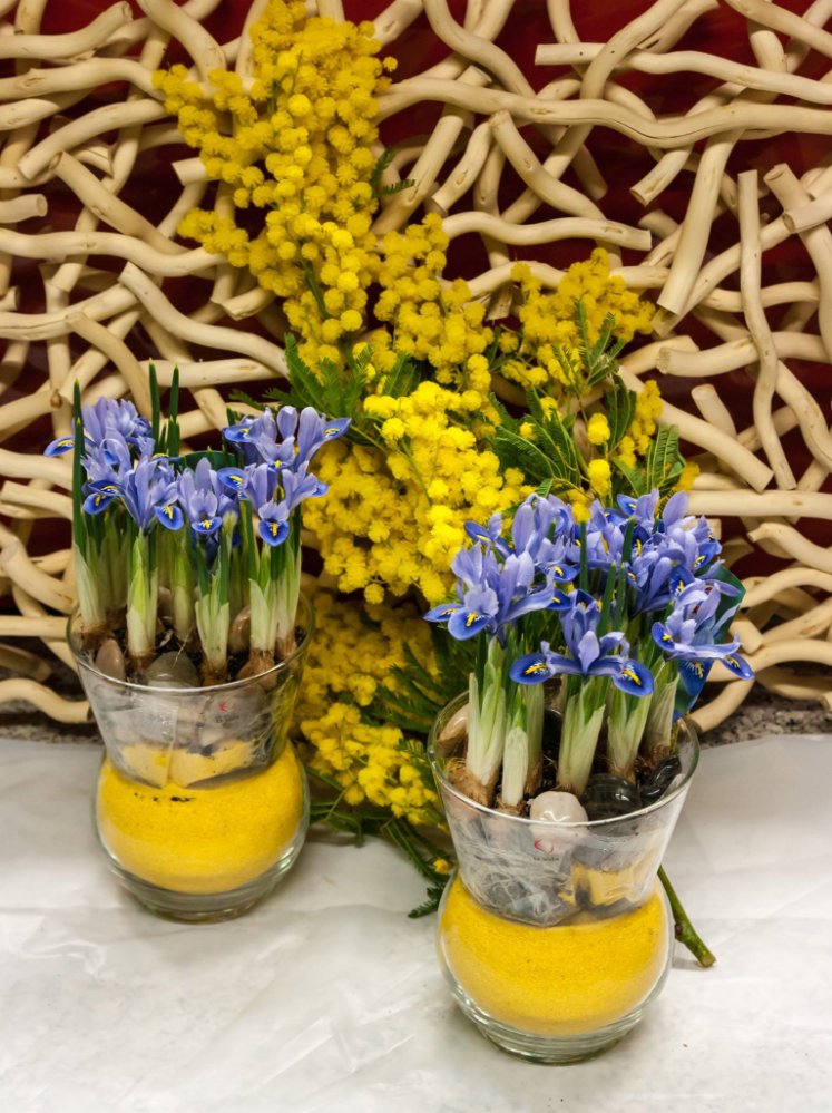 Foto Composizione di bulbose