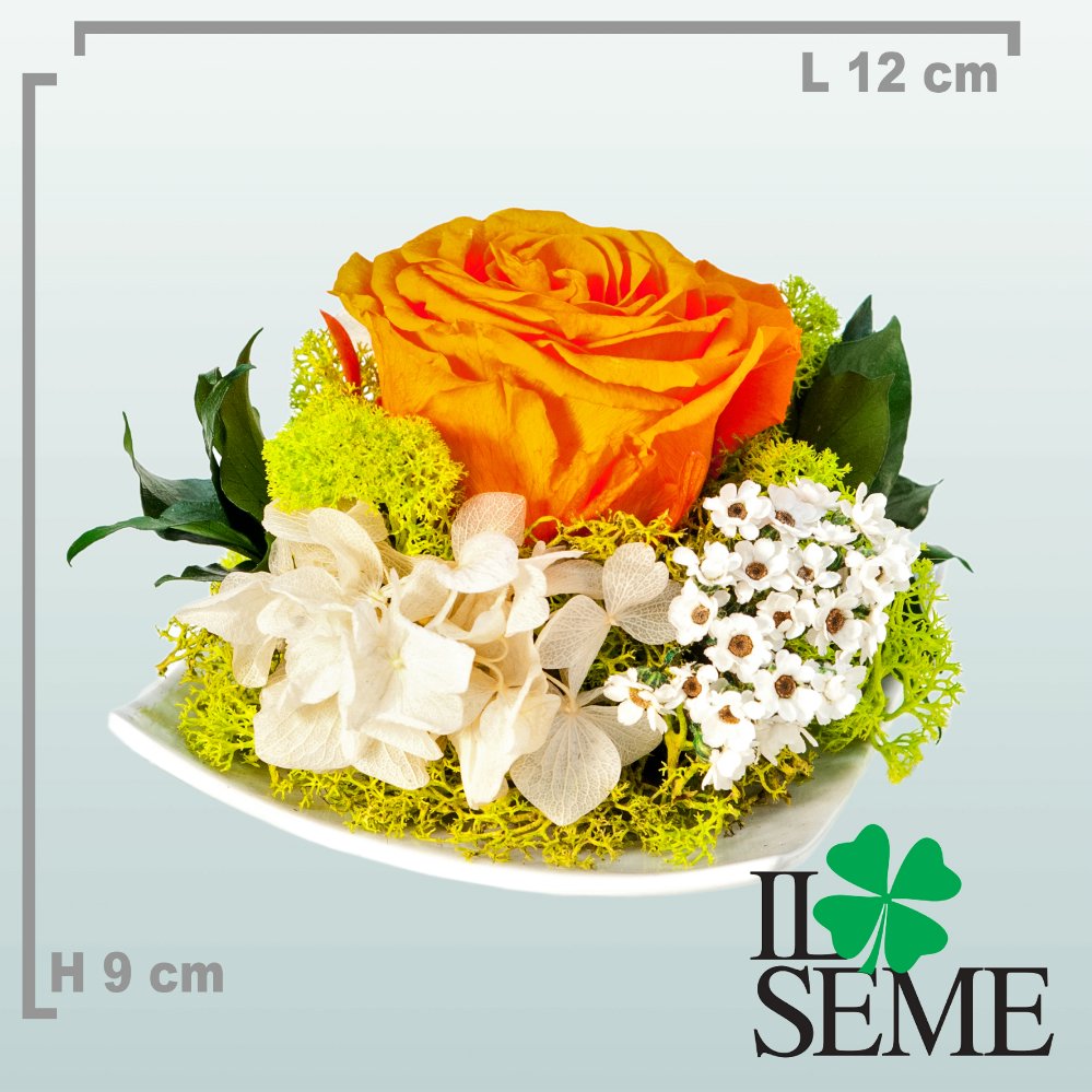 Foto Plate base arrangement with stabilized rose