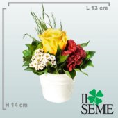 Composizione base secchiello con rosa stabilizzata