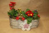 Bulb flowers arrangements