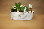 Bulb flowers arrangements