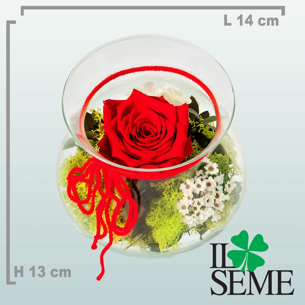Foto Glass Pot arrangement with Stabilized Rose