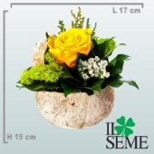 Composizione base cocco con rosa stabilizzata