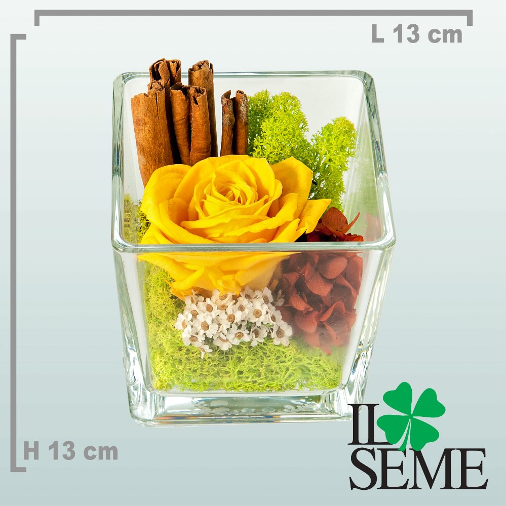 Foto Square Glass Pot arrangement with Stabilized Rose