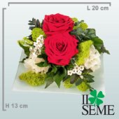 Composizione su piatto bianco con rose stabilizzate