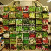 Vegetable, flower seeds and bulbs