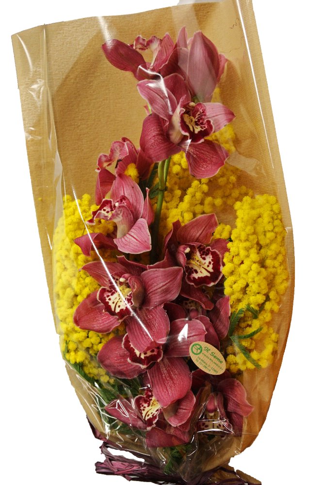 Foto Orchidee e Mimosa