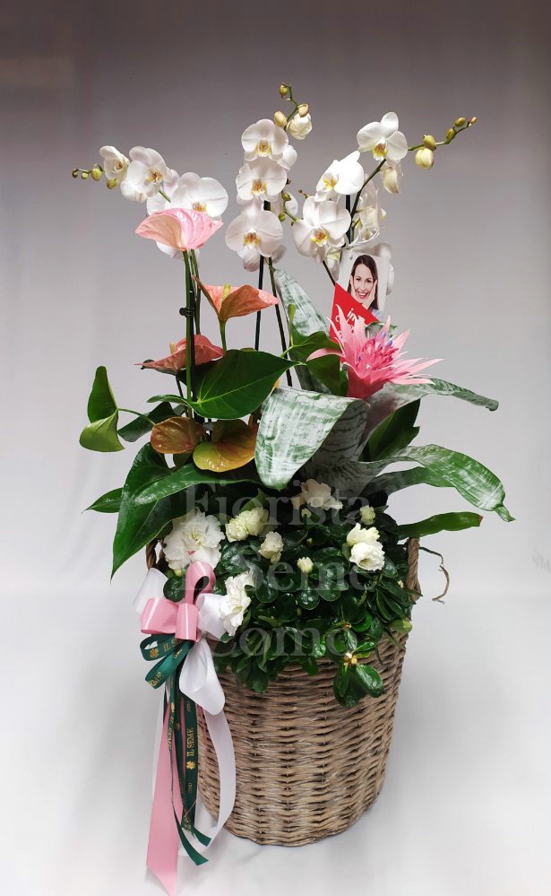 Foto Round basket with Fowering Plants