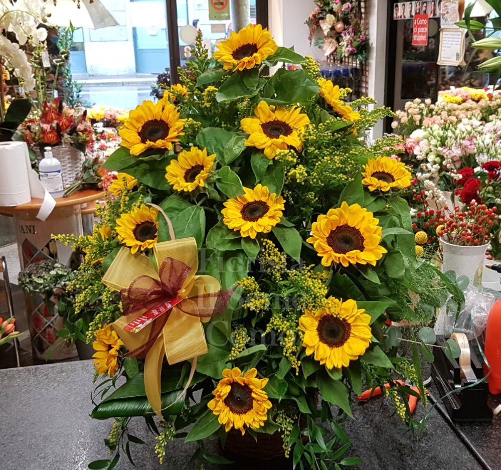 Foto Sunflower Pyramid