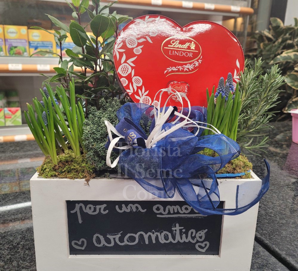 Foto Aromatiche, bulbose e cioccolatini