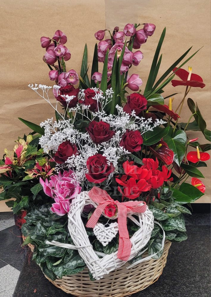 Foto Follie di piante con inserto fiorito